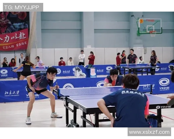 乒乓球的魅力与团队精神南京乒乓球队的协作之道揭秘
