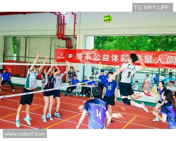 广州排球队选拔赛点评：团队协作展现出色配合与默契精神